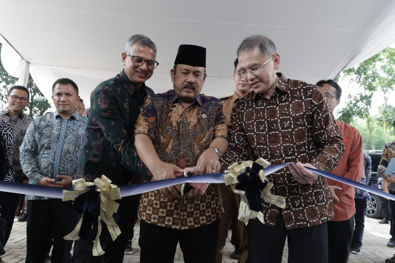 kepala-bappenas-ingin-ubi-jalar-jadi-simbol-kebangkitan-pangan-ri