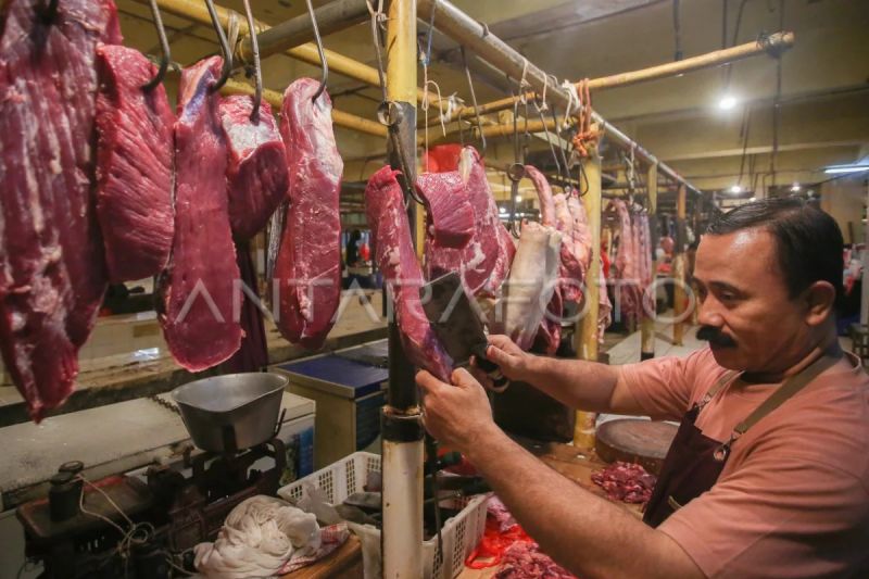 mentan-kuota-impor-daging-sapi-swasta-dipangkas-demi-stabilitas-harga