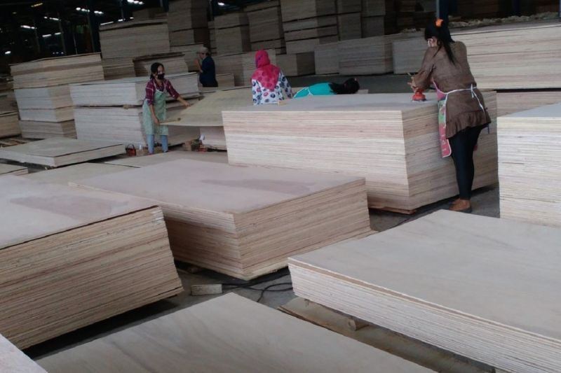 APHI: Pencabutan izin PBPH berdampak pada ekspor hasil hutan