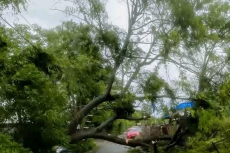 pemkab-lombok-tengah-sebut-dana-btt-di-apbd-2026-capai-rp25-miliar