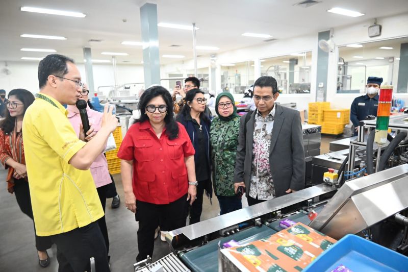 komisi-vii-dorong-penguatan-jamu-lokal-umkm-lewat-pembinaan