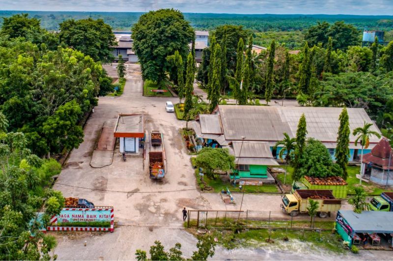 ptpn-iv-palmco-catat-233-juta-jam-kerja-aman-tanpa-kecelakaan-fatal