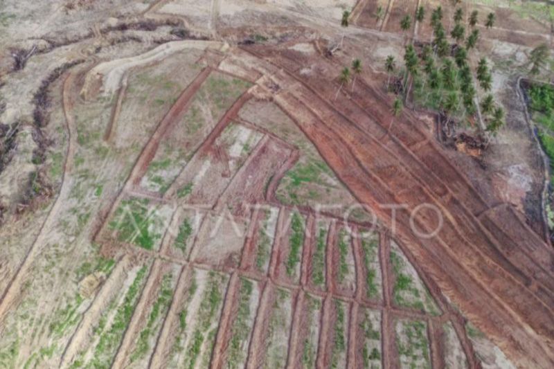 dinas-tph-realisasi-program-cetak-sawah-di-sulteng-4335-hektare