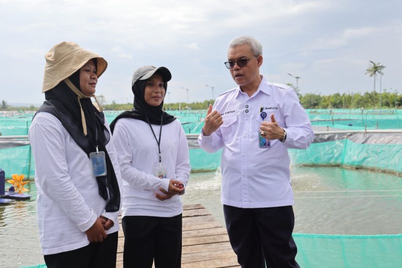 kemnaker-magang-nasional-solusi-lulusan-baru-menembus-dunia-kerja