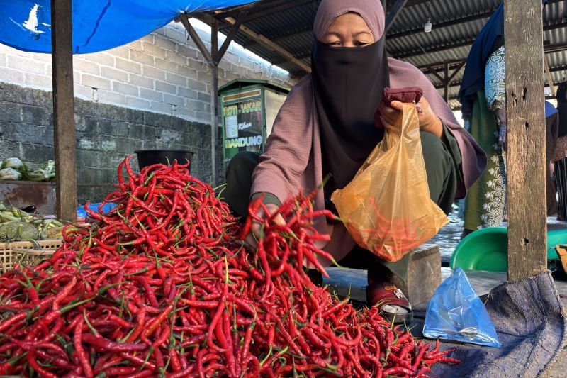 aktivitas-ekonomi-di-pasar-pandan-tapanuli-tengah-mulai-normal