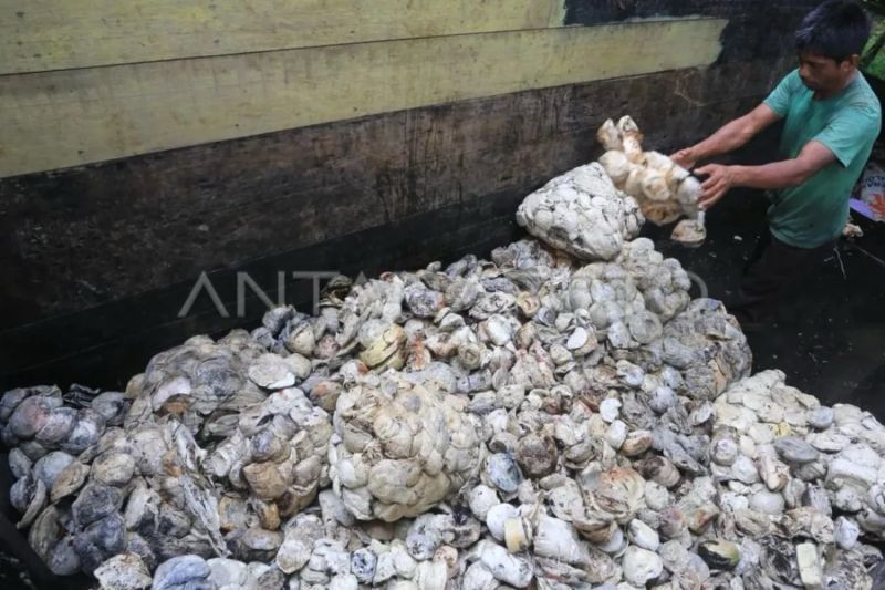 kemendag-terbitkan-aturan-baru-ekspor-karet-alam-sir