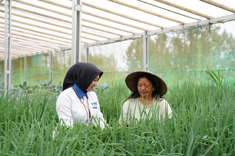 pnm-lakukan-pemberdayaan-seiring-pembiayaan-usaha-ultra-mikro