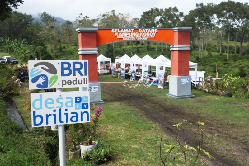 Jangkau 5.245 Desa BRILiaN, BRI perluas dukungan bagi pengembangan ekonomi desa