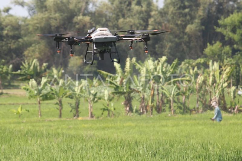 kementan-dukung-pemanfaatan-drone-untuk-pertanian-berkelanjutan