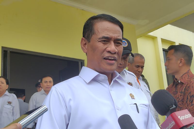 mentan-pastikan-stok-beras-aman-dorong-produksi-telur-dan-ayam