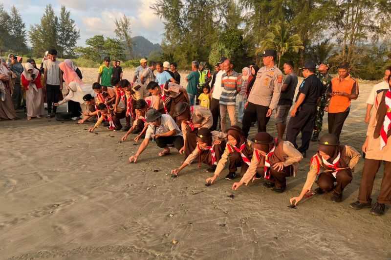 Kelompok konservasi lepas 90 tukik untuk menjaga habitat penyu di Aceh