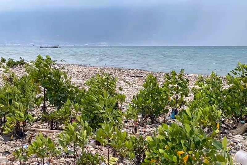 DLH Palu pastikan tumpukan sampah di pantai Layana dari daerah lain