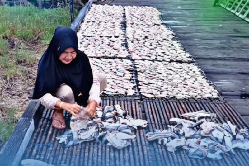 Dari pesisir Kaltim, PNM dampingi perempuan tumbuhkan ekonomi keluarga