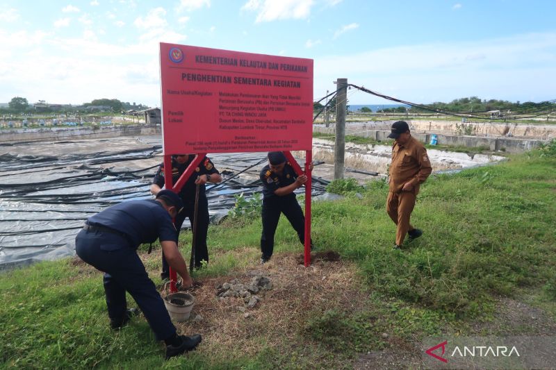 kkp-segel-tambak-udang-milik-perusahaan-asing-di-lombok