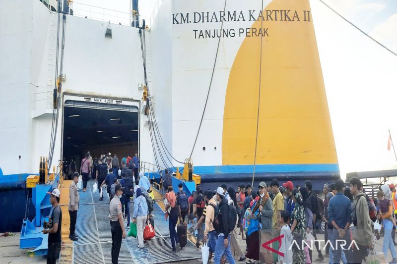 insentif-dari-kemenhub-jadi-solusi-bantu-pengusaha-pelayaran-swasta