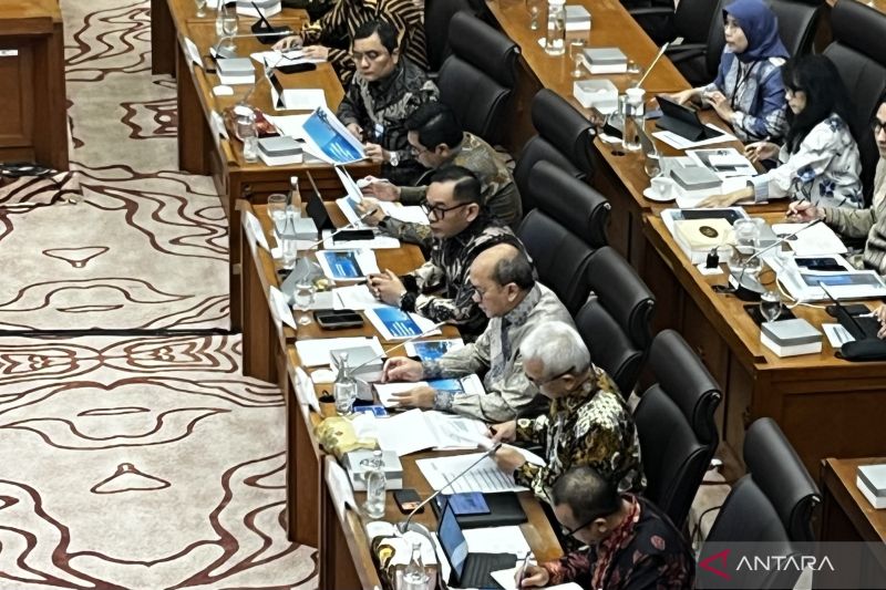 pemerintah-bidik-persiapan-proyek-hilirisasi-kelapa-rampung-desember