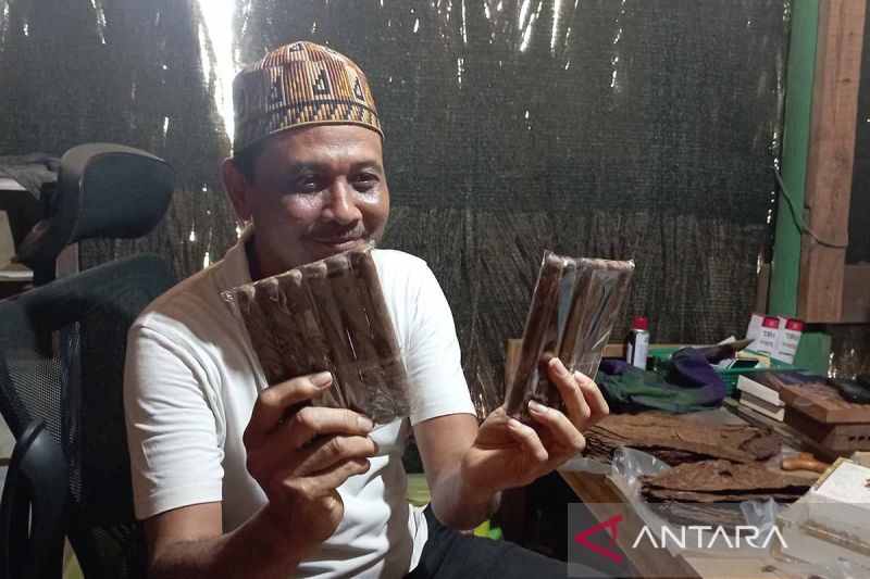 umkm-di-aceh-besar-kembangkan-tembakau-asli-aceh-jadi-produk-cerutu