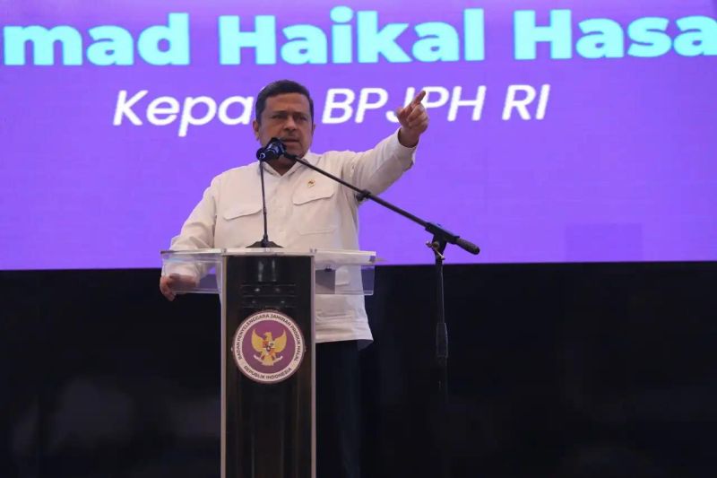 bpjph-sebut-pendampingan-bagi-umk-penting-jelang-wajib-halal-2026