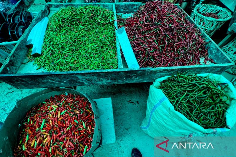 pihps-harga-cabai-rawit-merah-rp68850kg-telur-ayam-rp31350kg