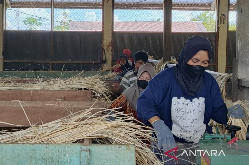 bps-catat-95-dari-100-orang-angkatan-kerja-sudah-memiliki-pekerjaan