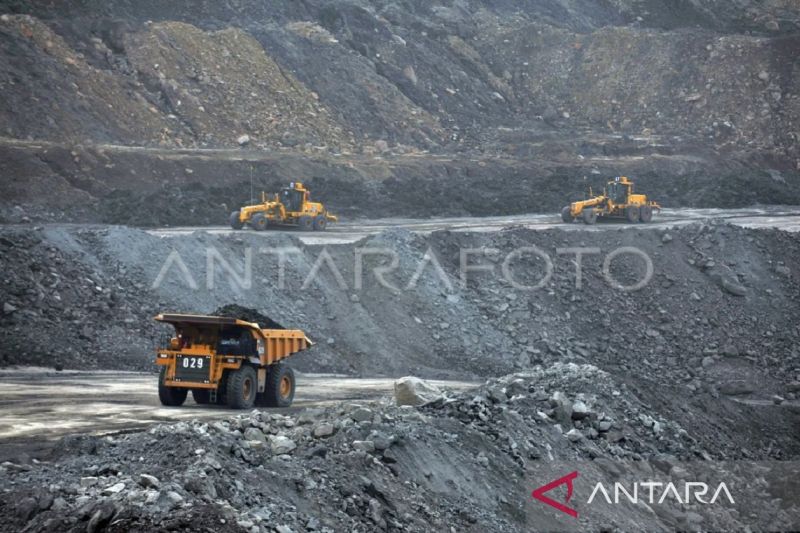 bapenda-kaltim-pendapatan-pajak-alat-berat-melonjak-3000-persen