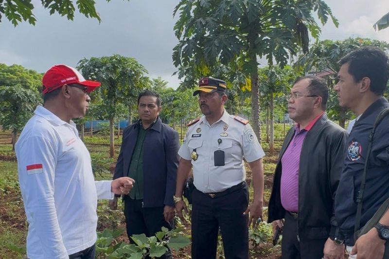 Wagub NTT menilai pertanian SAE Lapas Kupang perkuat ekonomi lokal