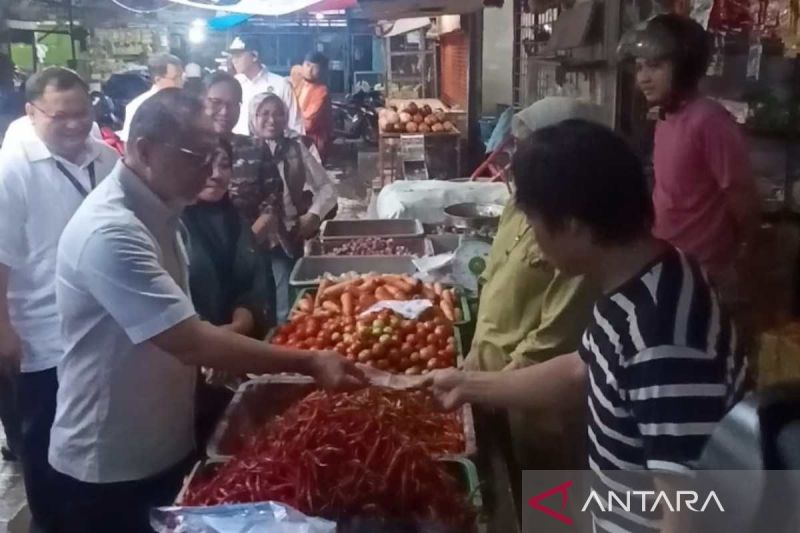 menko-pangan-sebut-harga-di-makassar-relatif-stabil-dan-murah