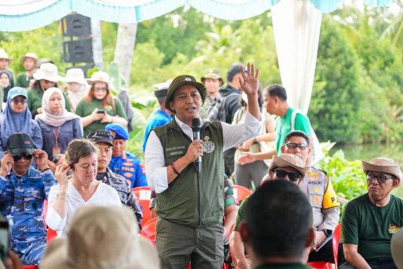 menhut-pastikan-tambak-aman-meski-ditanami-mangrove