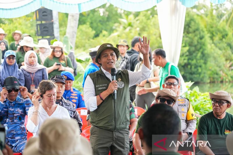 menhut-pastikan-tambak-aman-meski-ditanami-mangrove