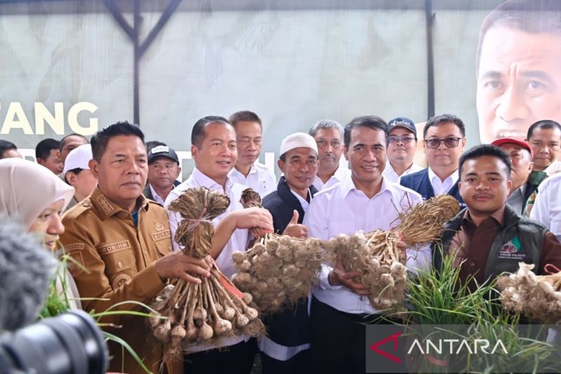 mentan-tetapkan-ntb-sentra-bawang-putih-untuk-swasembada-pangan