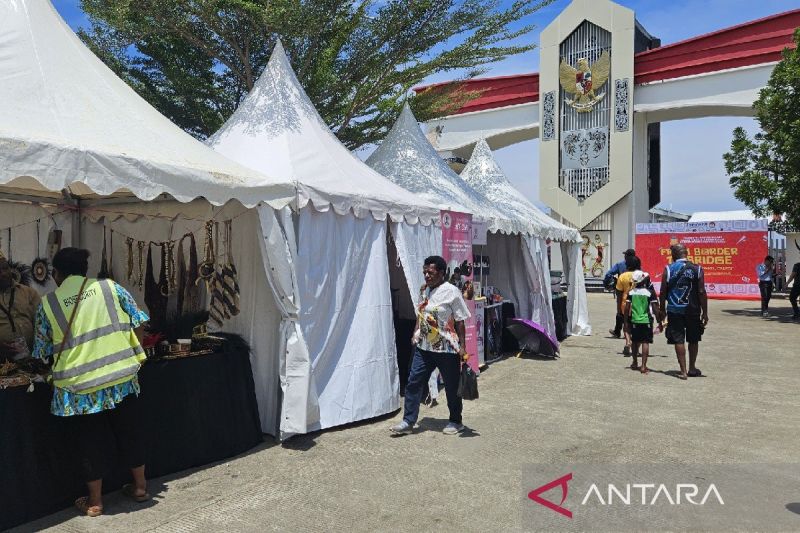 dpr-ri-dorong-pembentukan-pansus-percepatan-ekonomi-perbatasan-papua