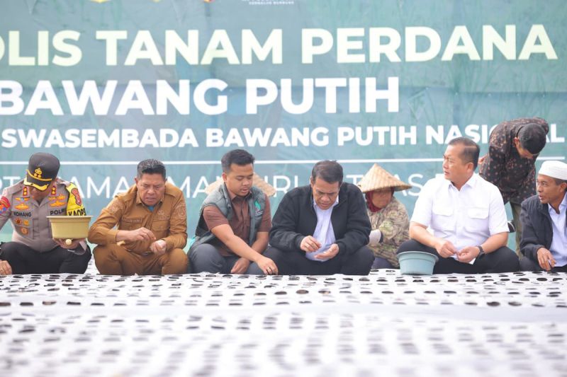 mentan-kualitas-bawang-putih-lombok-timur-kompetitif-dibanding-impor