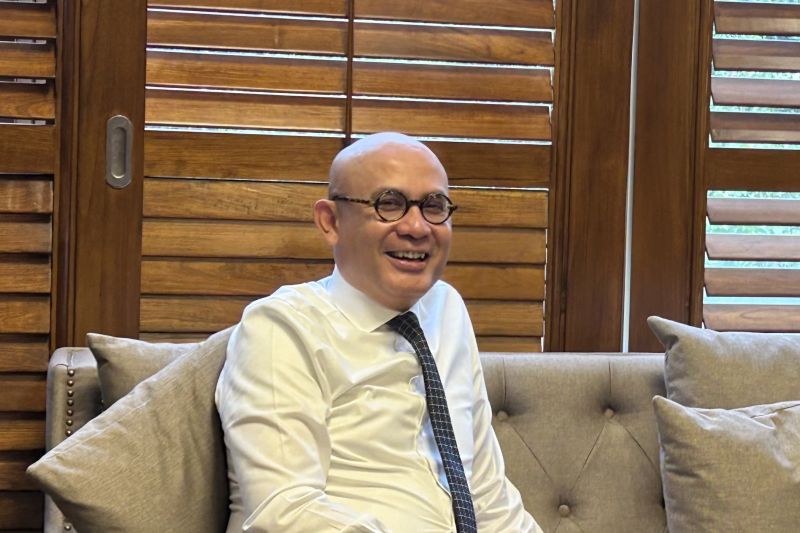 Wamenlu: Indonesia akan bahas Solusi Dua Negara pada KTT D-8