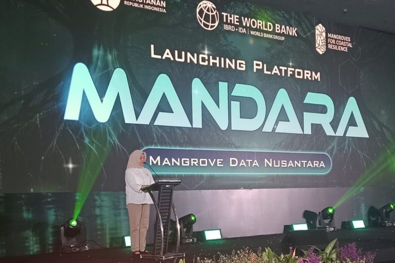 kemenhut-perkuat-integrasi-data-mangrove-dengan-platform-mandara