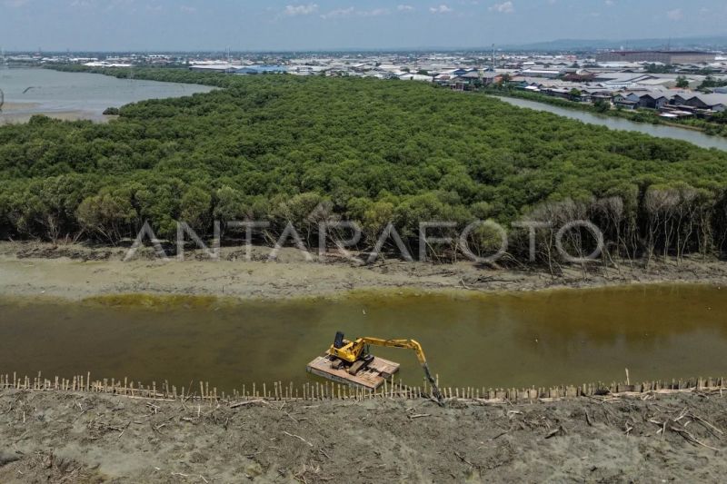 indonesia-percepat-penerapan-karbon-biru-untuk-transisi-iklim