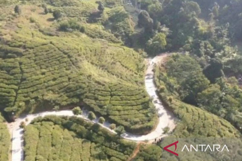 setahun-menjabat-bupati-bogor-rudy-susmanto-bangun-516-km-jalan