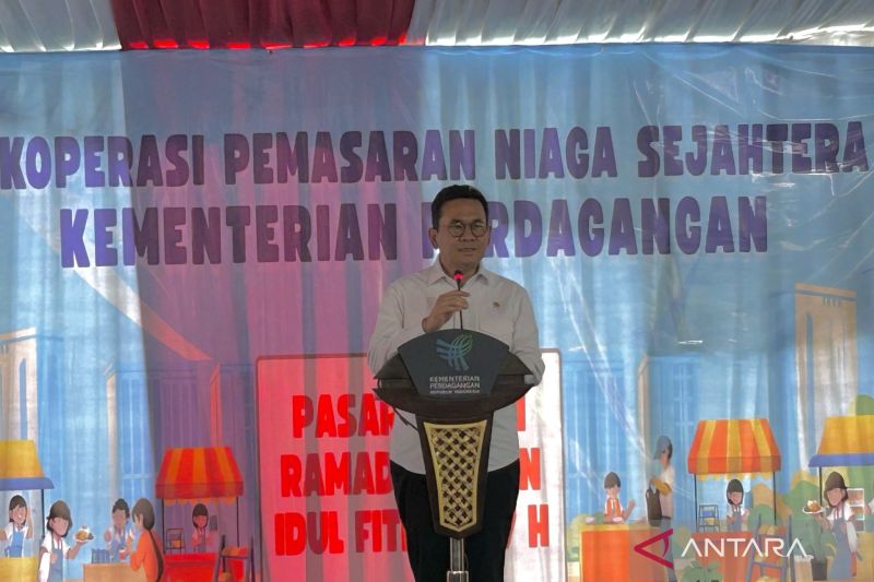 harga-ayam-sempat-tembus-rp45-ribu-mendag-rata-rata-nasional-stabil