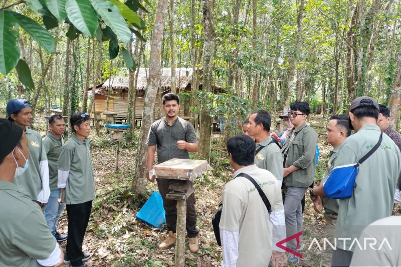 wamenhut-peningkatan-kualitas-perhutanan-sosial-pacu-roda-ekonomi