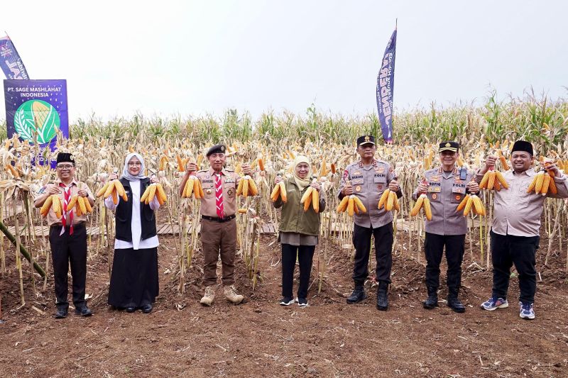 khofifah-sebut-jawa-timur-kontributor-jagung-tertinggi-di-indonesia