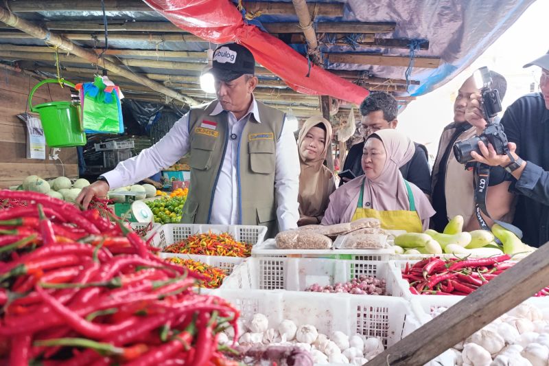 dirut-bulog-pengawasan-rutin-harga-pangan-jaga-daya-beli-masyarakat