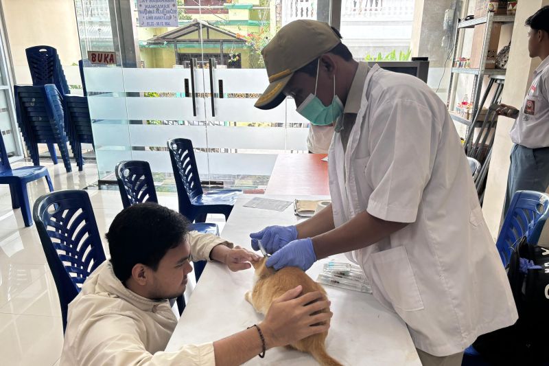 Pemkot Jakarta Utara terus berupaya tekan rabies