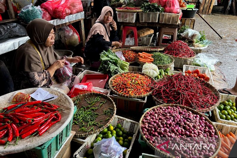 harga-bawang-merah-rp46900kg-cabai-rawit-rp83850kg-senin-pagi-ini