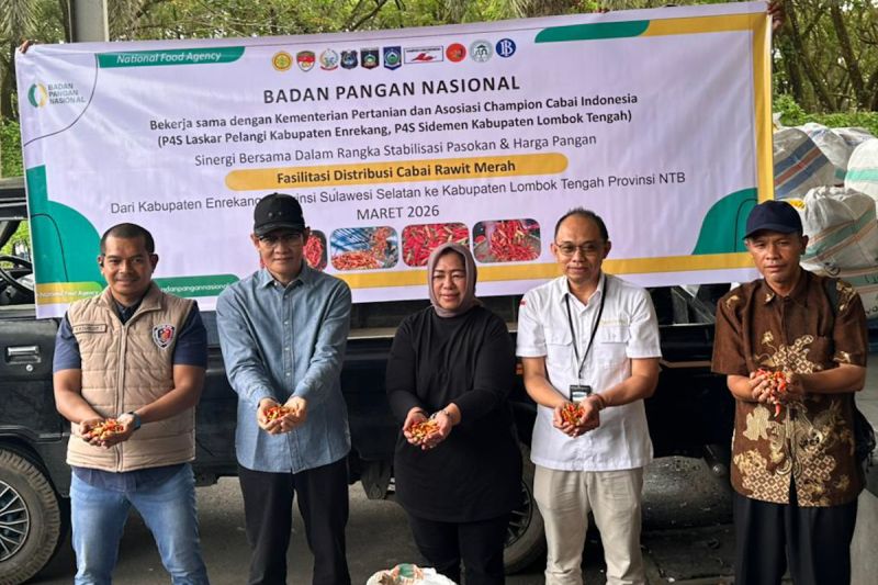 bapanas-kawal-mobilisasi-cabai-enrekang-ke-ntb-redam-lonjakan-harga