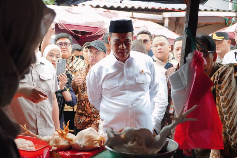 kabapanasmentan-harga-cabai-dan-daging-ayam-mulai-turun