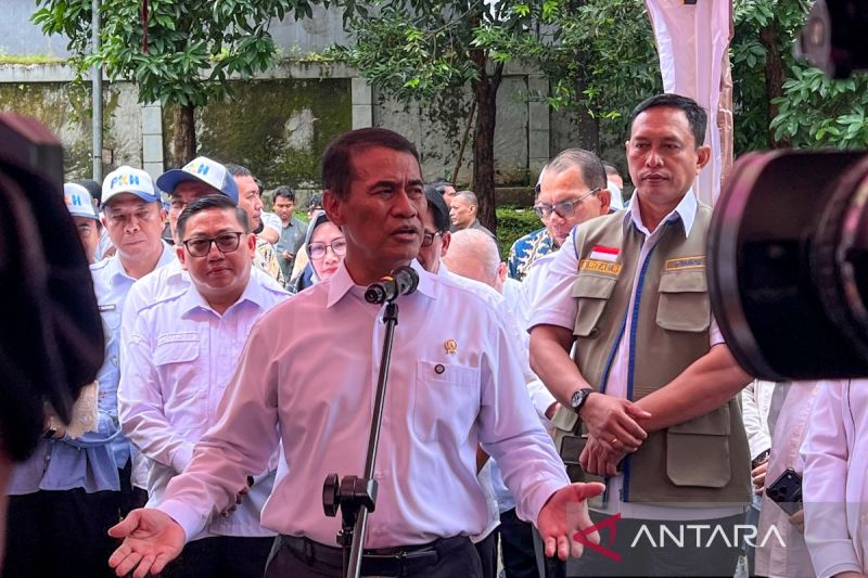 ini-penegasan-mentan-terkait-rencana-impor-1000-ton-beras-as