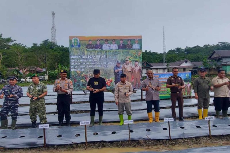 pemkab-simeulue-ajak-masyarakat-manfaatkan-lahan-tidur-untuk-pertanian