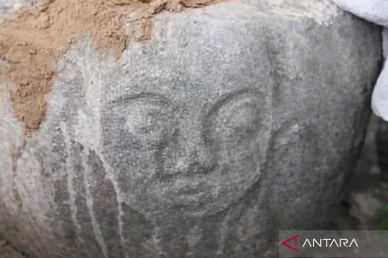 Warga temukan situs megalitikum di areal tambang ilegal Dongi-Dongi kawasan TNLL