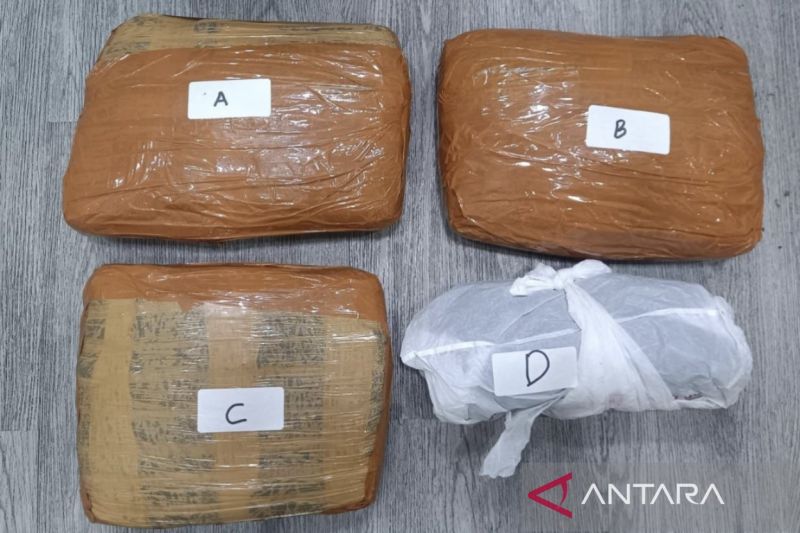 polda-metro-jaya-gagalkan-peredaran-3-kg-ganja-di-jakpus