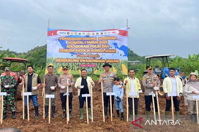 polri-dan-pemuda-katolik-tanam-jagung-pada-80-hektare-lahan-di-cianjur