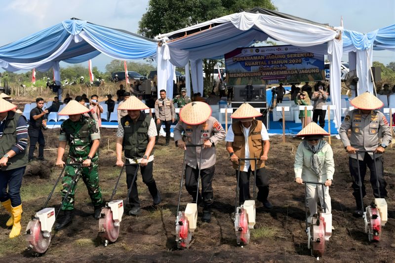kolaborasi-hidupkan-lahan-tidur-30-tahun-demi-kawal-swasembada-jagung